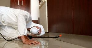 Startex DEEP CLEANING Services