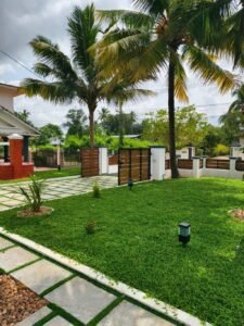 Startex Landscaping & Gardening Services