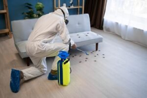 Professional Pest Control Services in Pune